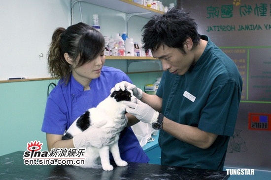 赤峰豬屠宰場聯(lián)系電話號碼-第1張圖片