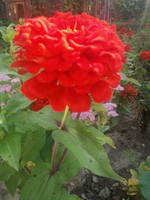 赤峰林西女子監(jiān)獄地址電話號(hào)碼-第1張圖片