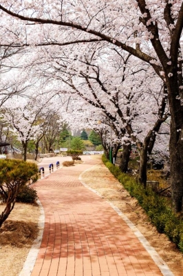赤峰北道糧庫電話地址是多少號-第1張圖片