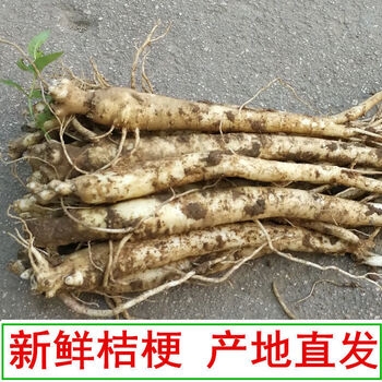 赤峰董氏中藥店地址電話號(hào)碼-第1張圖片