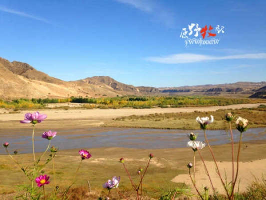 赤峰原野餐吧電話多少啊-第1張圖片