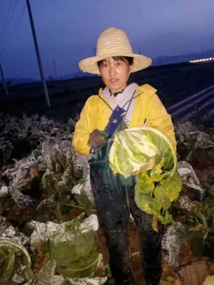 赤峰有收菜的老板嗎電話是多少-第1張圖片