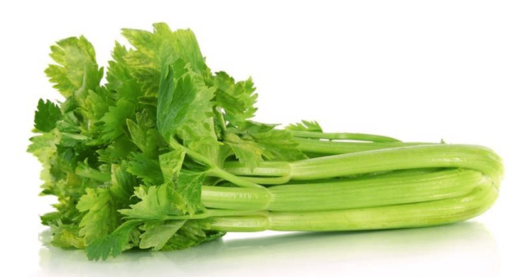 赤峰肉制品廠電話地址查詢號碼-第1張圖片