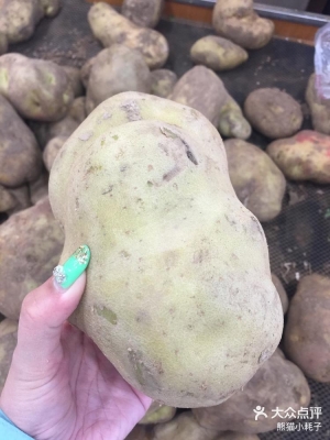 赤峰市土豆代購店電話地址查詢-第1張圖片