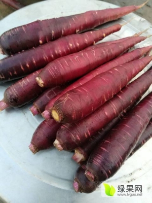 赤峰賣(mài)胡蘿卜的電話是多少號(hào)-第1張圖片