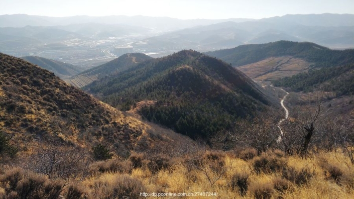 赤峰市錦山鎮(zhèn)征婚群電話號碼-第1張圖片