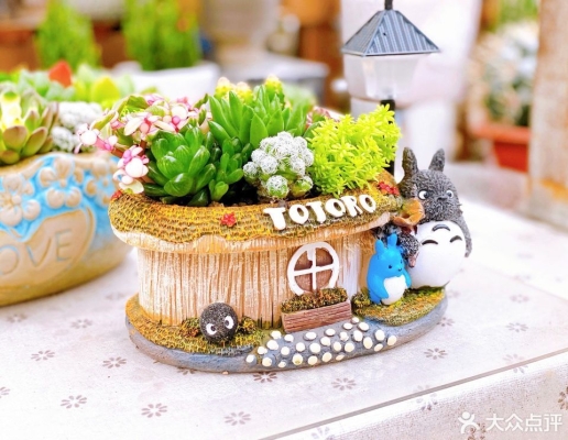 赤峰舒布洛克磚廠地址電話號碼-第1張圖片