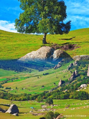 赤峰大鏟皮機(jī)廠電話地址查詢-第1張圖片