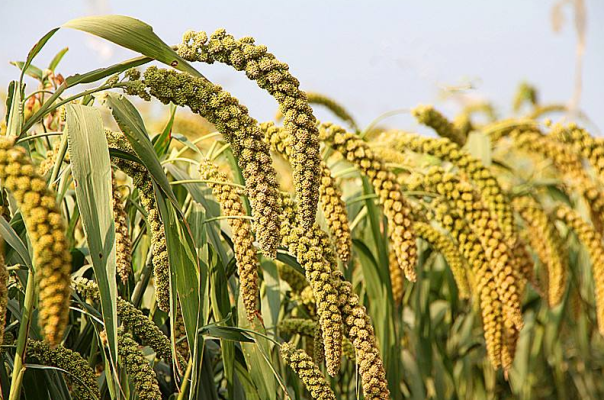 赤峰林東麻將機(jī)售后電話號碼-第1張圖片