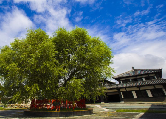 赤峰萬澤垂釣園電話號(hào)碼查詢-第1張圖片