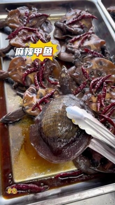 赤峰甲魚團購電話多少號碼-第1張圖片