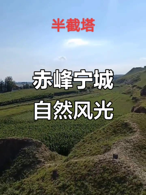 赤峰寧城裁縫店電話多少號(hào)-第1張圖片