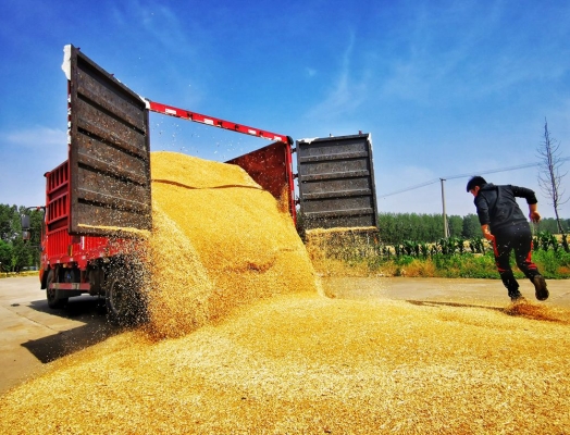 赤峰木作工廠電話地址是多少號(hào)-第1張圖片