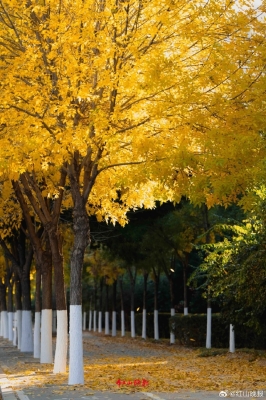 赤峰仟佰廚具怎么樣啊電話號(hào)碼-第1張圖片