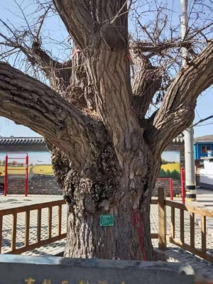 赤峰萬(wàn)祥商貿(mào)有限公司電話(huà)號(hào)碼-第1張圖片