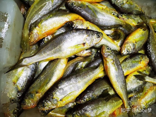 赤峰生鮮海鮮批發(fā)市場電話號碼-第1張圖片