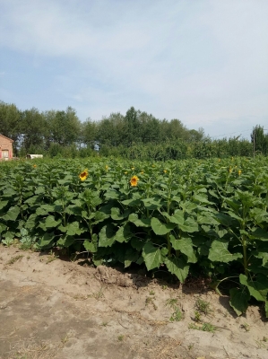 赤峰林西維多利超市電話號碼-第1張圖片