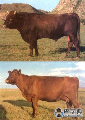 赤峰養(yǎng)羊場電話多少號碼-第1張圖片