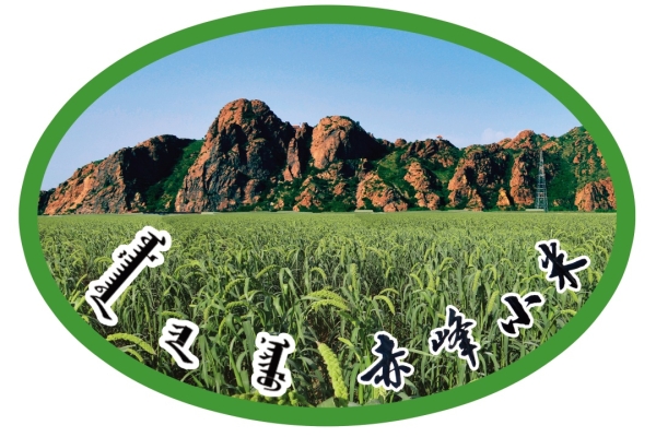 赤峰小米利隆店電話多少號-第1張圖片