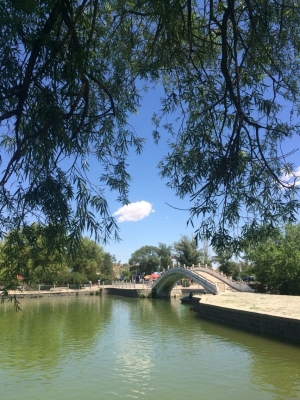 赤峰紅山區(qū)針灸館電話號碼-第1張圖片