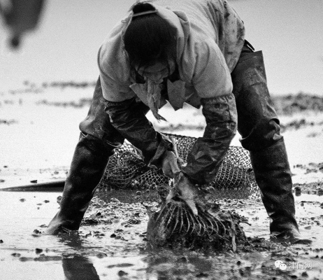 采貝機(jī)赤峰市售后電話號(hào)碼-第1張圖片