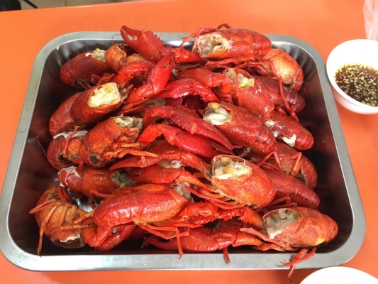 赤峰賣大龍蝦電話地址查詢號碼-第1張圖片