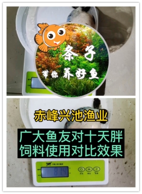 赤峰市老板水產(chǎn)店地址電話號碼-第1張圖片