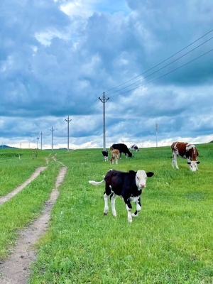 赤峰檸竹戶外樂園地址電話查詢-第1張圖片