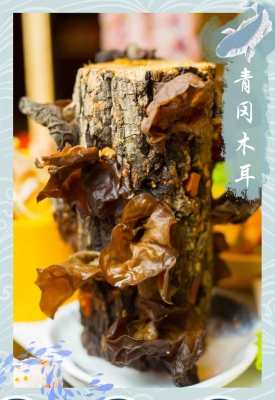 禧悅火鍋赤峰店電話(huà)號(hào)碼查詢(xún)-第1張圖片