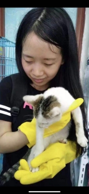 赤峰流浪貓狗救助站電話號碼-第1張圖片