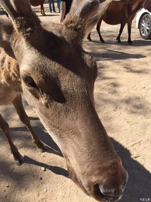 閑野咖啡店赤峰店電話號(hào)碼-第1張圖片