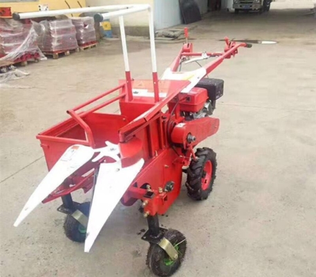 赤峰收玉米棒電話是多少號-第1張圖片