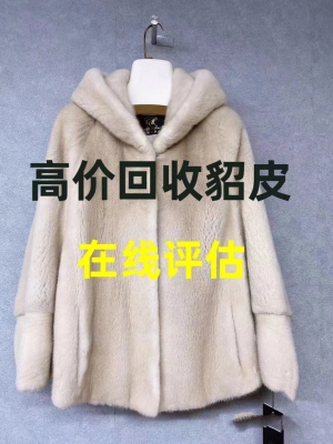 赤峰市貂皮回收廠家電話號碼-第1張圖片