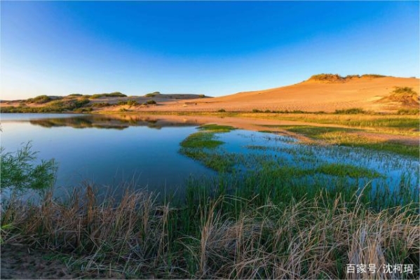 赤峰烏丹到沈陽(yáng)拼車電話是多少-第1張圖片
