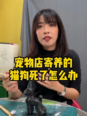 赤峰寄養(yǎng)寵物店電話號碼多少-第1張圖片