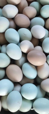 赤峰元寶山蛋糕店的電話號碼-第1張圖片