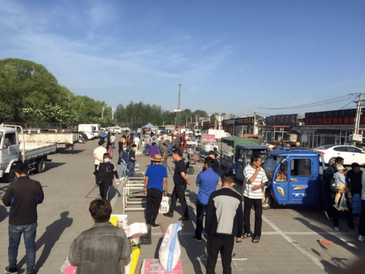 赤峰狗市在哪-第1張圖片