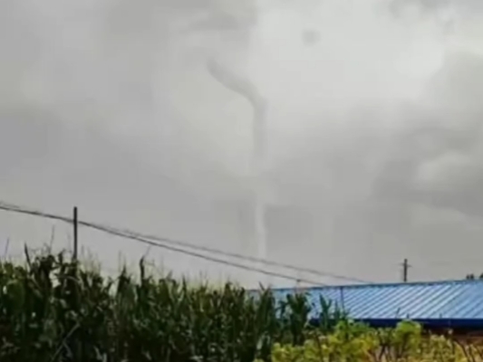 赤峰林西修面店電話多少號(hào)-第1張圖片