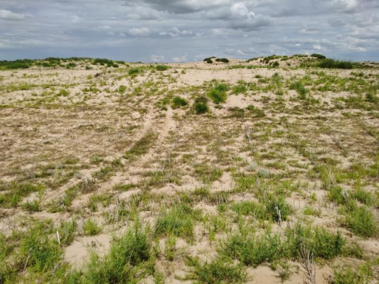 赤峰沐浴露源頭廠家電話號(hào)碼-第1張圖片