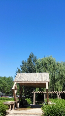 赤峰市松山區(qū)環(huán)衛(wèi)電話號(hào)碼-第1張圖片