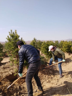 赤峰市松山區(qū)第十幼兒園電話-第1張圖片