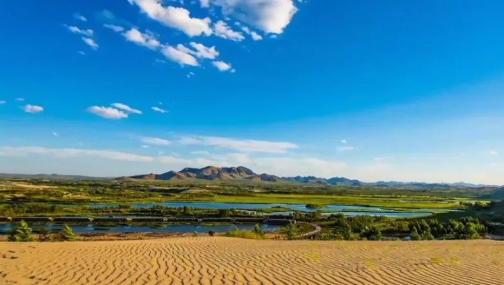 赤峰市烏丹鎮(zhèn)花店電話號(hào)碼-第1張圖片