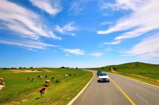 赤峰拉羊運(yùn)輸公司電話號(hào)碼查詢-第1張圖片