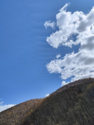 赤峰沐絲理發(fā)店地址電話號(hào)碼-第1張圖片