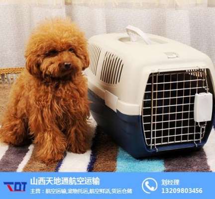 赤峰寵物狗回收公司電話號(hào)碼-第1張圖片