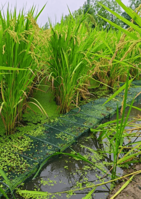 赤峰養(yǎng)驢托管電話號(hào)碼查詢(xún)是多少-第1張圖片