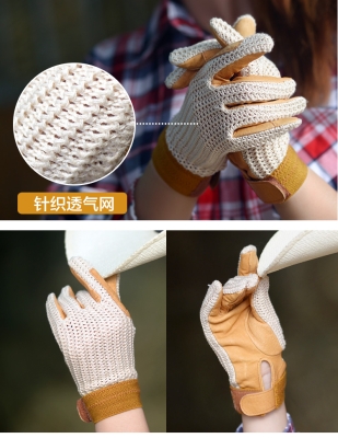 赤峰馬術(shù)用品店電話號碼查詢-第1張圖片