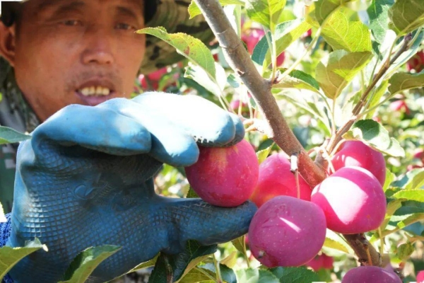 赤峰寶石原料加工廠(chǎng)電話(huà)號(hào)碼-第1張圖片