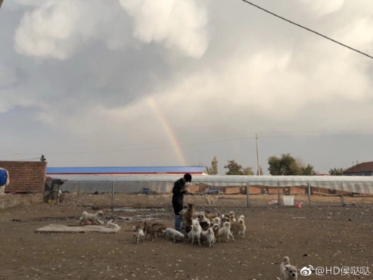 赤峰賣狗基地電話多少號-第1張圖片