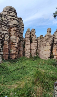 赤峰阿偉美發(fā)電話多少號-第1張圖片